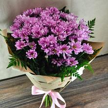 Букет цветов из:  Хризантемы #REPLACE_PRED# Корпуса