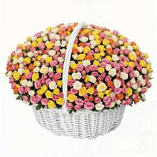 Премиум букет из: Розы в Корпуса