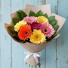 Букет цветов из:  Герберы в Корпуса