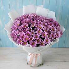 Букет цветов из:  Хризантемы в Корпуса