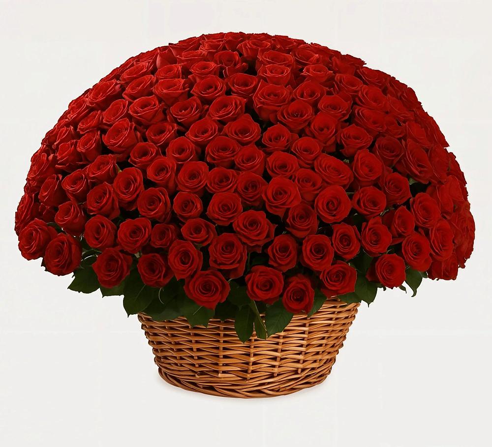 Премиум букет из: Розы в Корпуса