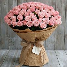 Букет 151 Роза Роуз в Корпуса