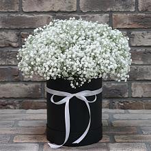 Цветочная композиция из Гипсофила в шляпной коробке в Корпуса