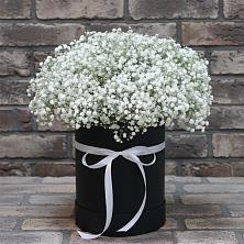Цветочная композиция из Гипсофила в шляпной коробке в Корпуса