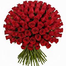 Букет Красные розы Чери Лав в Корпуса