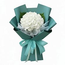 Букет цветов из:  Гортензия в Корпуса